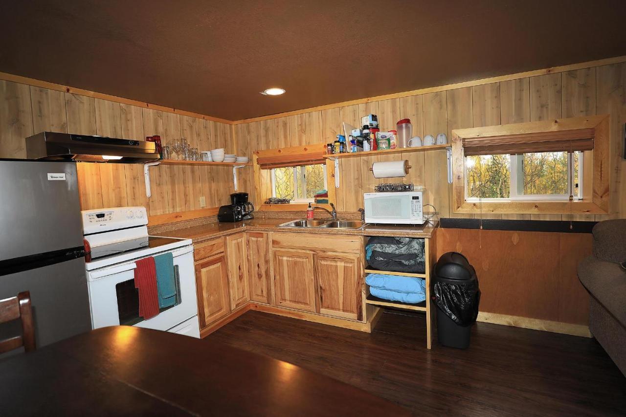 Denali Park View Family Log Cabin Exterior photo
